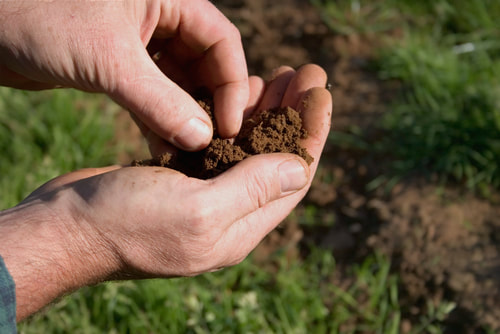 Soil Quality Up Keep - Organic Farm Dubai